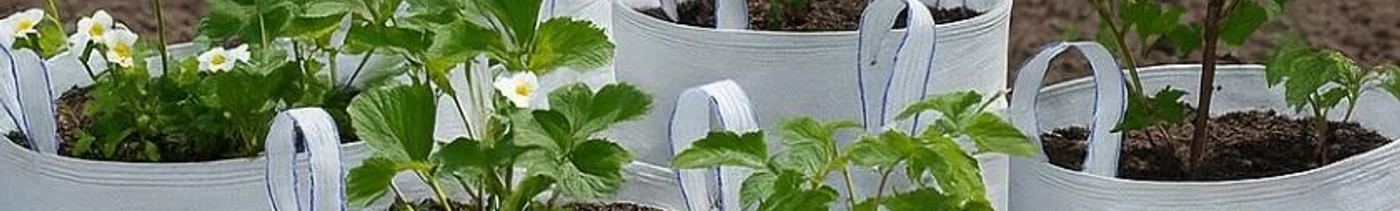 5b2557d3-f464-496e-882e-299764667df4-картинка каталога.jpg